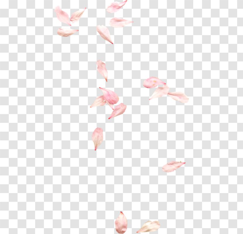 Petal Flower Clip Art Image - Peach - Invitation Elements Transparent PNG