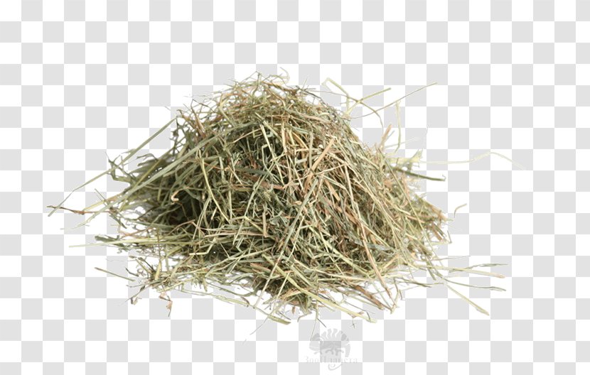 Straw Background - Sawdust - Grass Bird Nest Transparent PNG