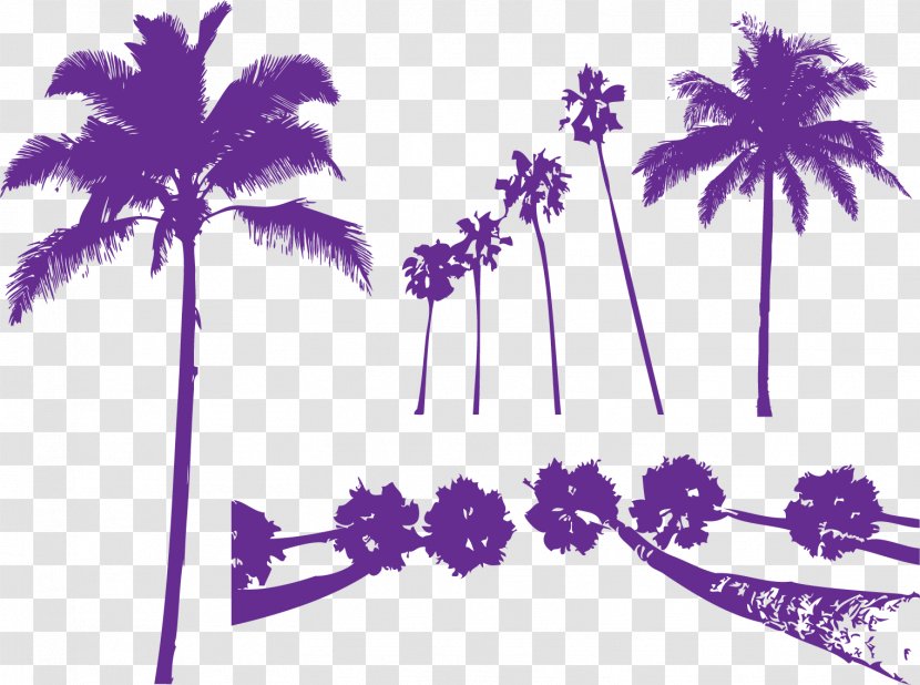 Areca Palm Tree Purple Arecaceae - Violet - Silhouette Transparent PNG