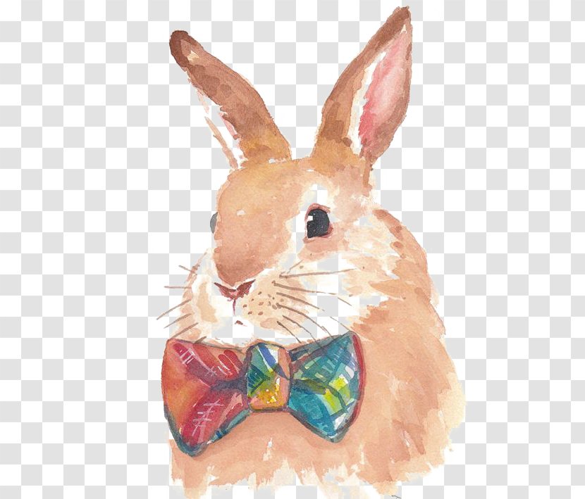 Hare Bunnies & Rabbits Watercolor Painting Drawing - Art - Hand-painted Rabbit Transparent PNG
