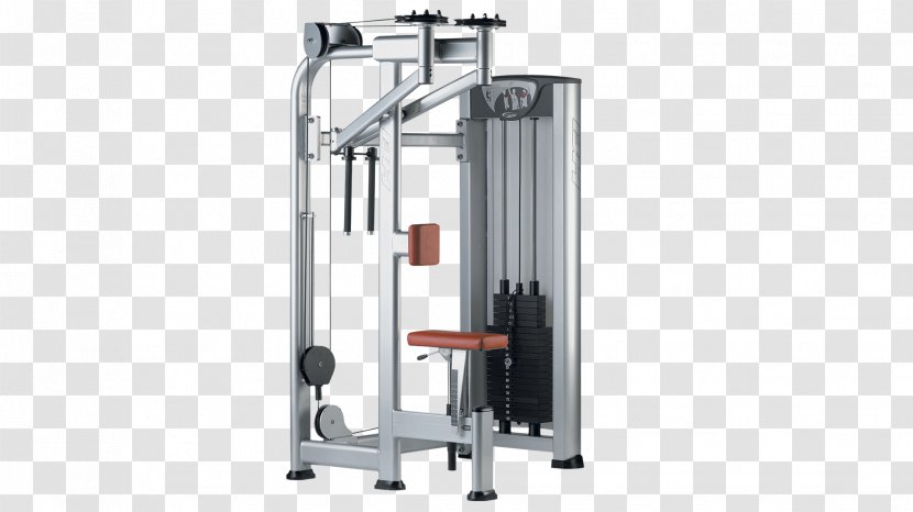 Weightlifting Machine Fitness Centre Product - Exercise - Butterfly Transparent PNG
