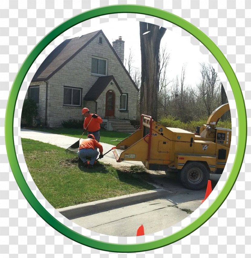 RG Tree Service Index Term Milwaukee Lawn - Grass - Clean Up Crew Transparent PNG