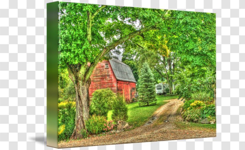 Tree Property Shed Landscape Nature Transparent PNG