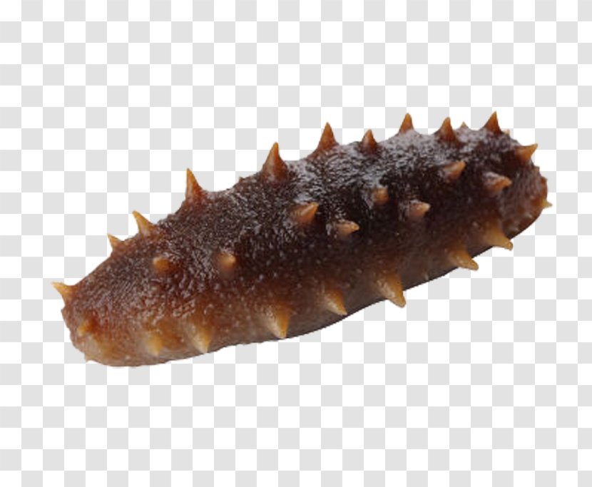 Sea Cucumber As Food Pickled - A Transparent PNG