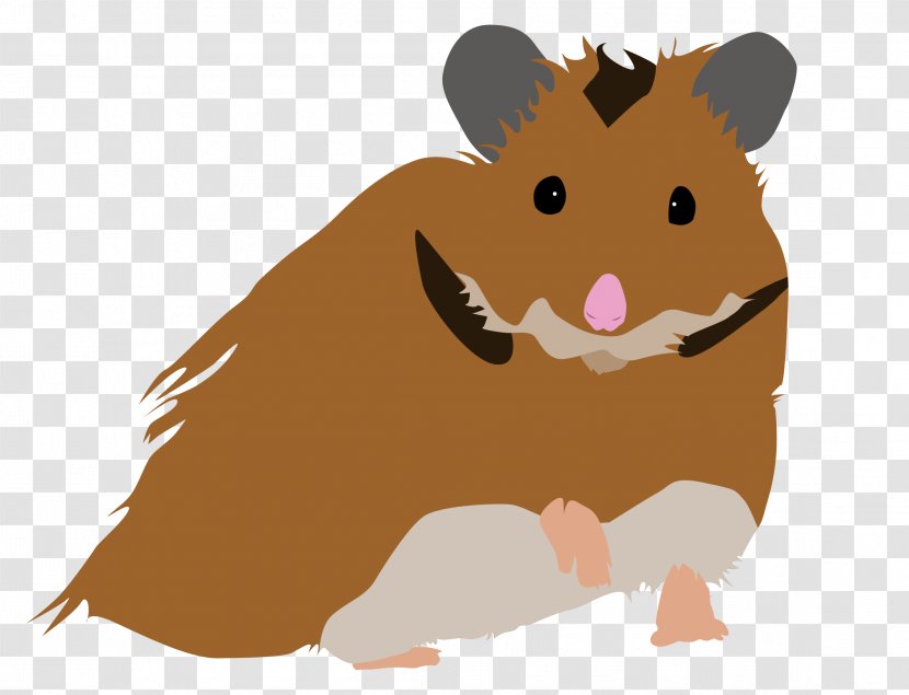 Gerbil Rodent Hamster Mouse Rat - Murids - Ali Transparent PNG