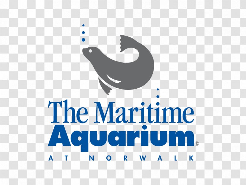 Mystic Aquarium & Institute For Exploration Maritime At Norwalk Long Island Sound Shark - Connecticut - Harbor Seal Transparent PNG