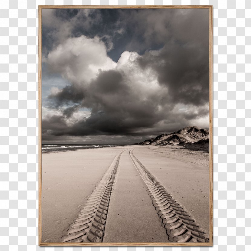 Poster Foto Factory Photography Paper Beach - Horizon Transparent PNG
