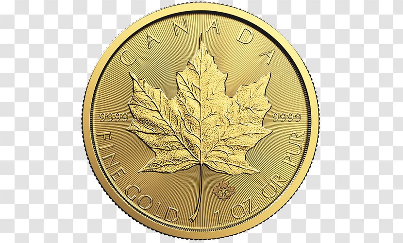 Canada Canadian Gold Maple Leaf Bullion Coin Dollar Transparent PNG