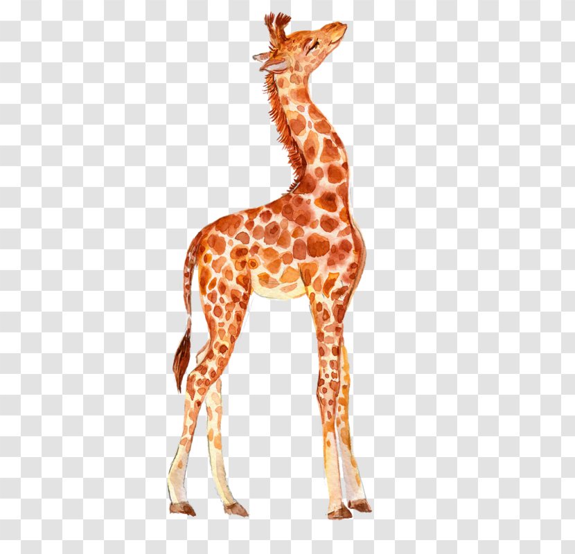 Giraffe Image Design Vector Graphics - Neck - Watercolor Animals Transparent PNG