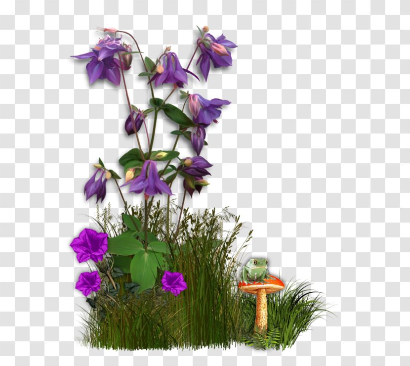 Flower Floral Design Clip Art - Photography - Grass Transparent PNG