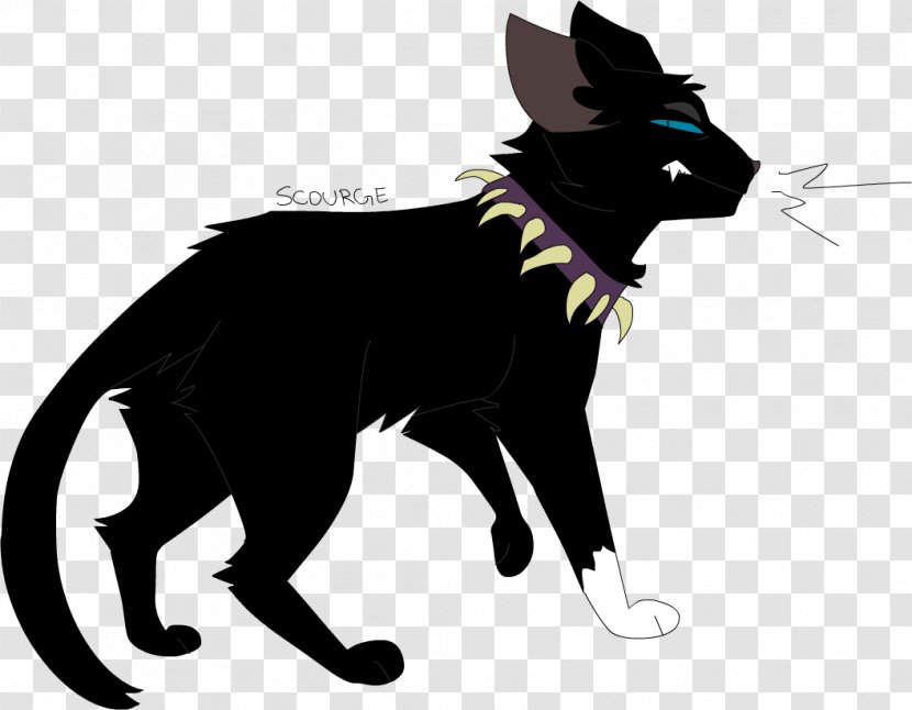 Black Cat Whiskers Domestic Short-haired The Rise Of Scourge - And White Transparent PNG