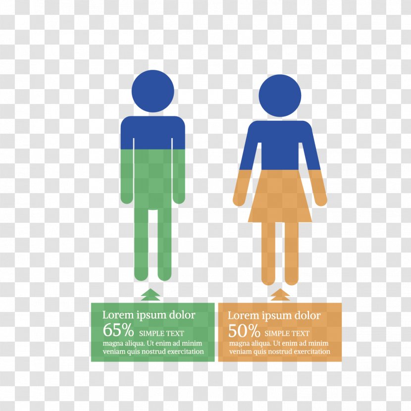Clip Art - Photography - Different Proportions Of Men And Women Transparent PNG