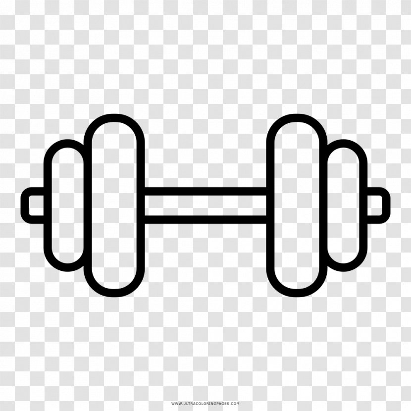 Dumbbell Weight Training Physical Fitness Exercise Drawing - Brand Transparent PNG