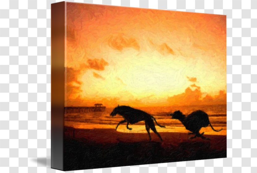 Greyhound Painting Canvas Print Art - Heat - Beach Sunset Transparent PNG