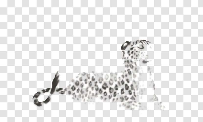 Cheetah Leopard Jaguar Felidae Lion - Giraffe - Black And White Transparent PNG