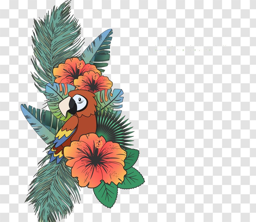 Parrot - Flowering Plant Transparent PNG