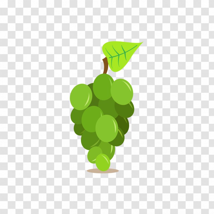 Wine Common Grape Vine Fruit - Flowering Plant - A Bunch Of Green Grapes Transparent PNG