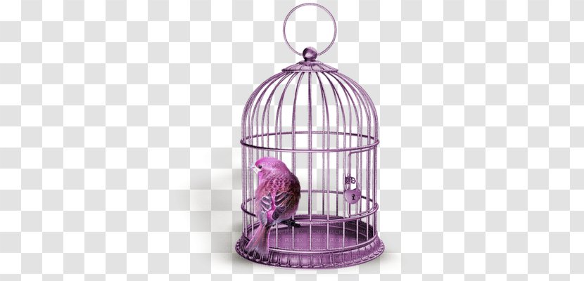 Birdcage Stock Photography Royalty-free - Purple - Bird Transparent PNG