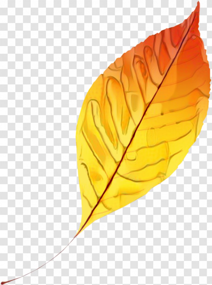 Orange Tree - Yellow - Deciduous Feather Transparent PNG