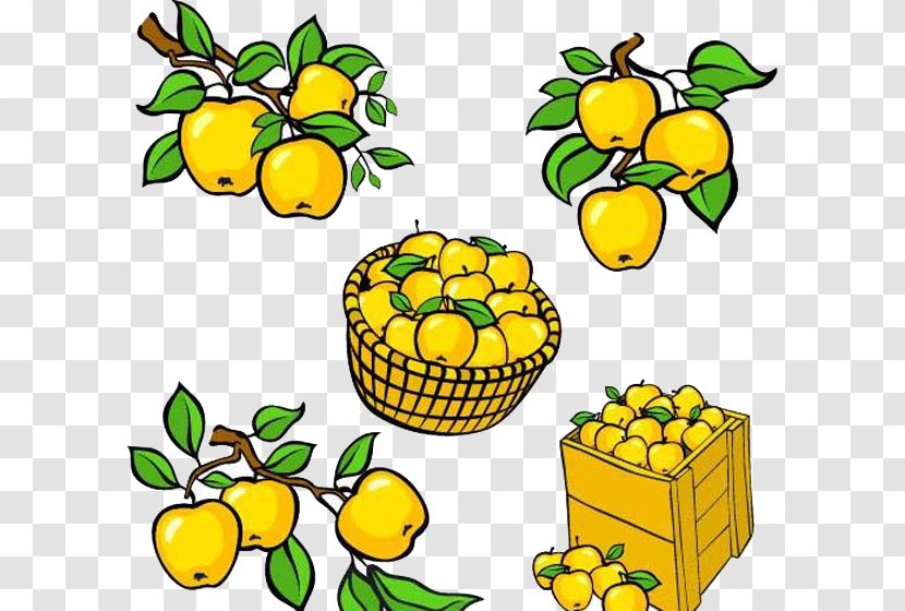 Clip Art - Food - Fresh Apples Are Packed In Bamboo Frames Transparent PNG