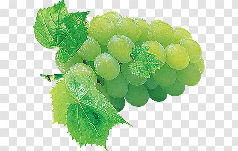 Grape Fruit Auglis Phobia - Grapefruit - Green Grapes Transparent PNG