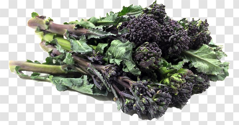 Broccolini Vegetarian Cuisine Curly Kale Rapini - Superfood - Broccoli Sprouts Transparent PNG