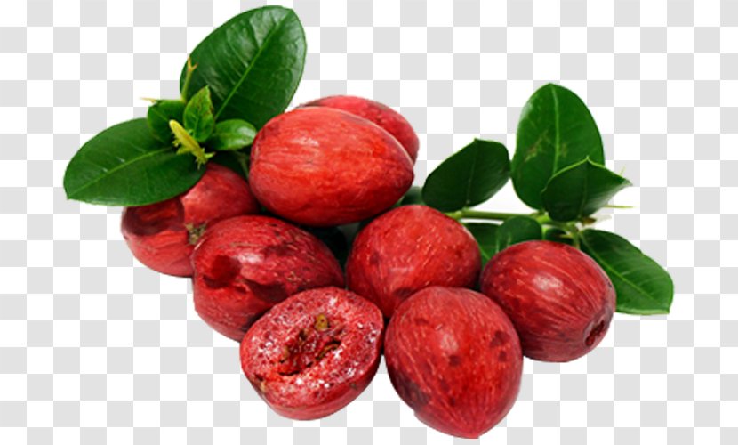 Natal Plum Juice Fruit Carissa Carandas Shrub - Strawberry Transparent PNG