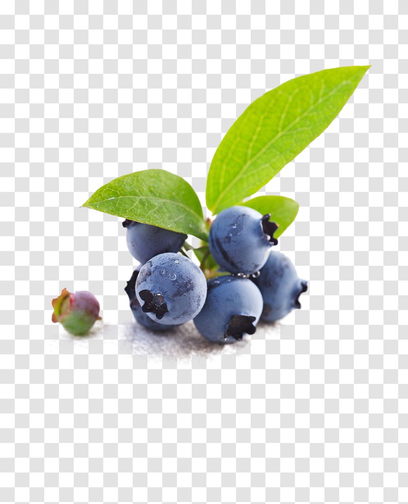 Blueberry Tea Bilberry Fruit - Diabetes Mellitus Transparent PNG