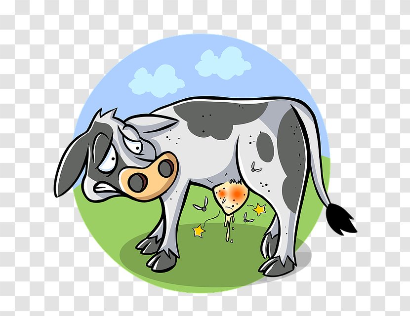 Dog Cattle Agriculture Veterinarian Veterinary Medicine Transparent PNG