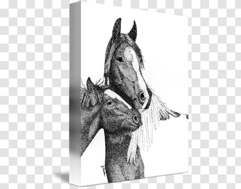 Mustang Stallion Halter Bridle - Monochrome - Gypsy Horse Transparent PNG