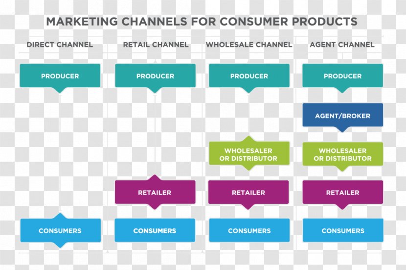 Marketing Channel Distribution Diagram - Consumer - Cola Transparent PNG