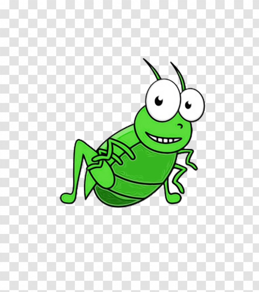 Green Cartoon Grasshopper Insect Clip Art - Watercolor - Cricketlike Line Transparent PNG