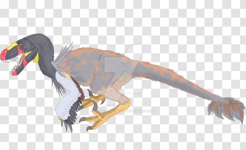 Velociraptor Dromaeosaurus Animal Dromaeosaurids Crane - Sandhill Transparent PNG