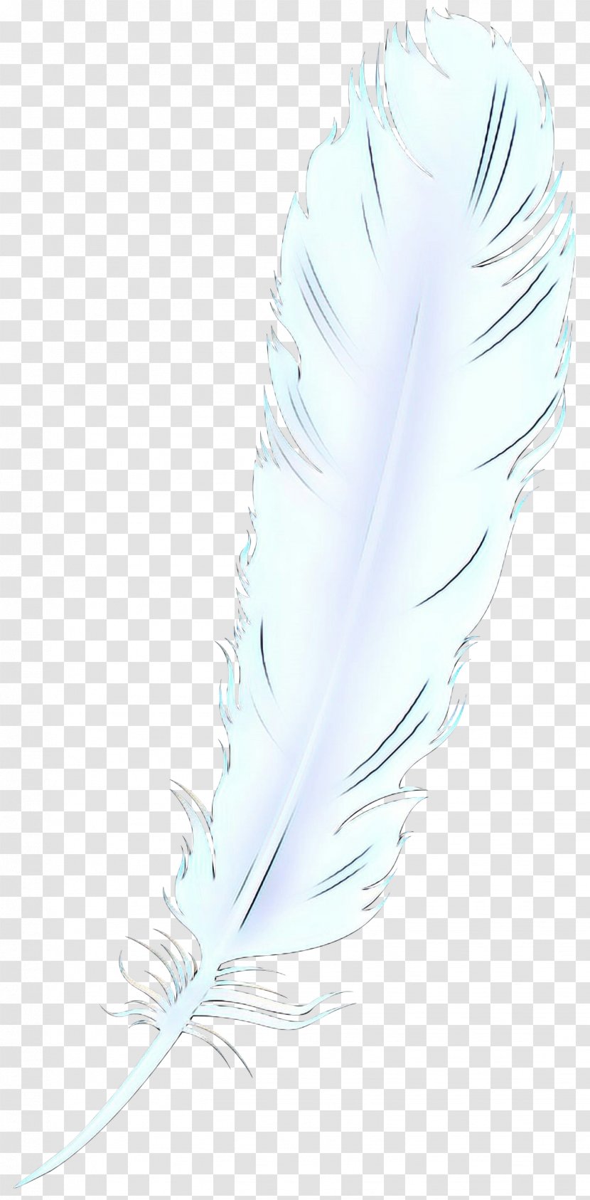 Writing Cartoon - Feather - Implement Wing Transparent PNG