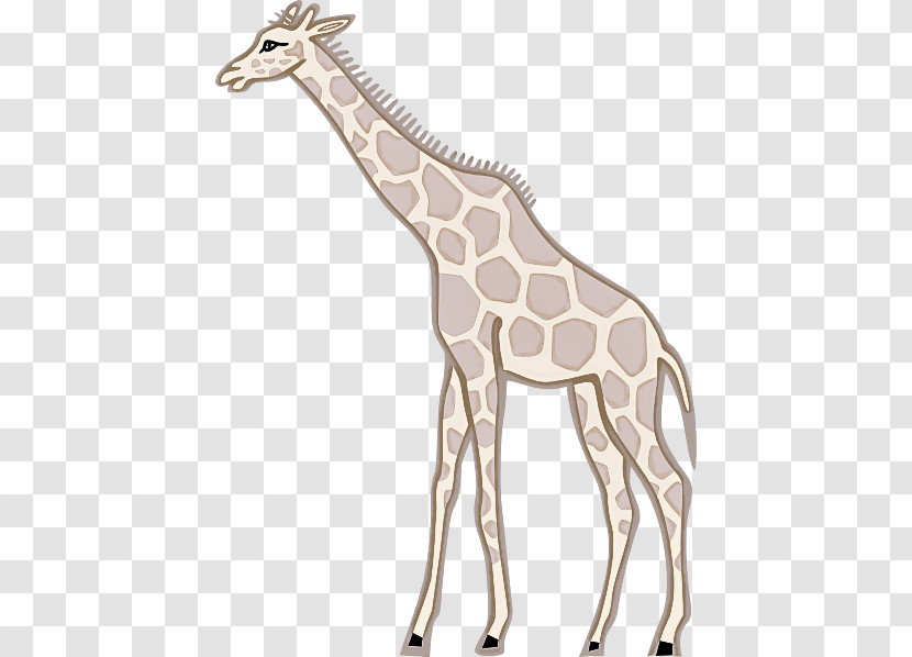 Giraffe Meter Animal Figurine Pattern Giraffids Transparent PNG