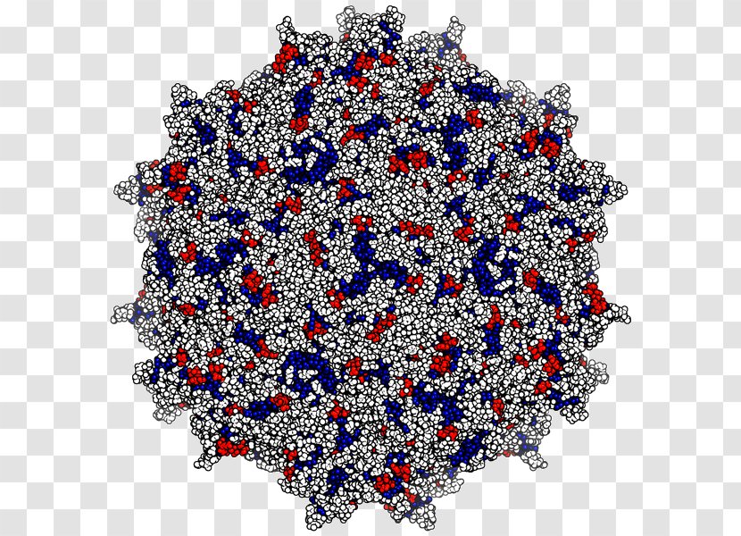 Adeno-associated Virus Neutralizing Antibody HIV - Vector - Sterilized Transparent PNG