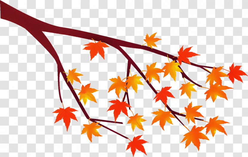 Maple Tree Branch Maple Tree Autumn Transparent PNG