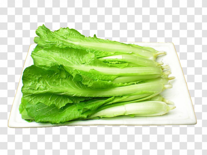 Bok Choy Vegetable Chinese Cabbage Napa Nutrition - Vitamin Transparent PNG