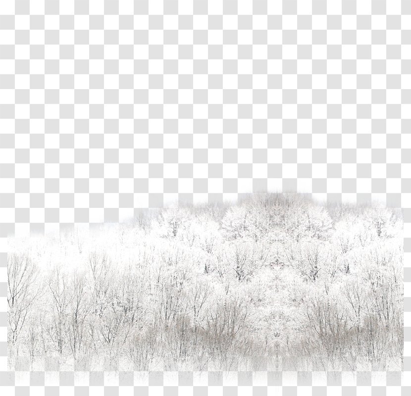 White Black Pattern - Texture - Tree Transparent PNG