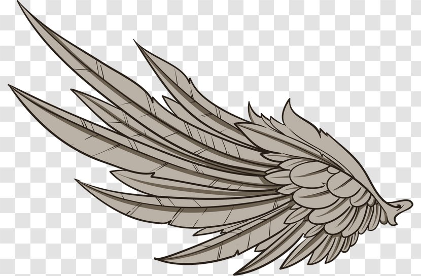 Line Art Drawing Feather Transparent PNG