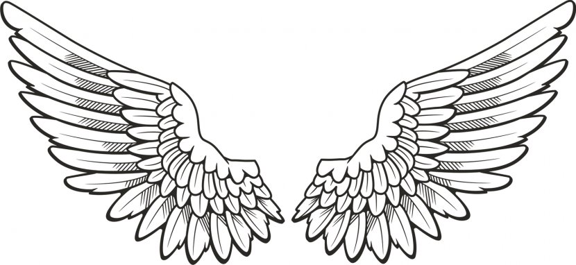 Drawing Angel Clip Art - Body Jewelry - Wings Cliparts Transparent PNG