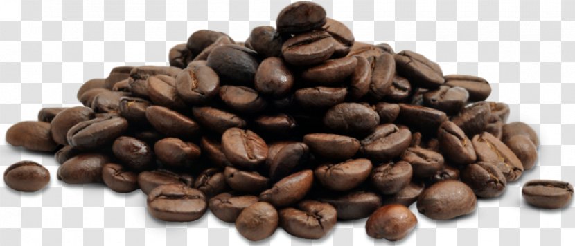Chocolate-covered Coffee Bean Cafe Espresso - Nuts Seeds Transparent PNG