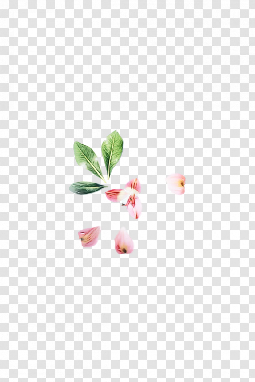 Petal Flower Transparent PNG