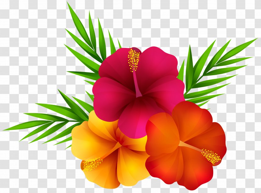 Flower Petal Clip Art - Exotic Transparent PNG