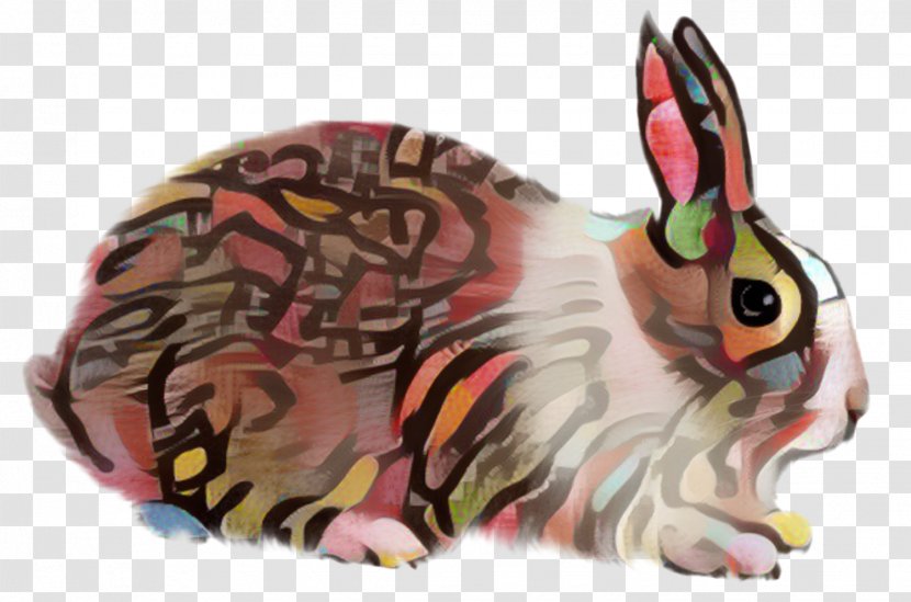 Hare Fauna Snout - Rabbit Transparent PNG