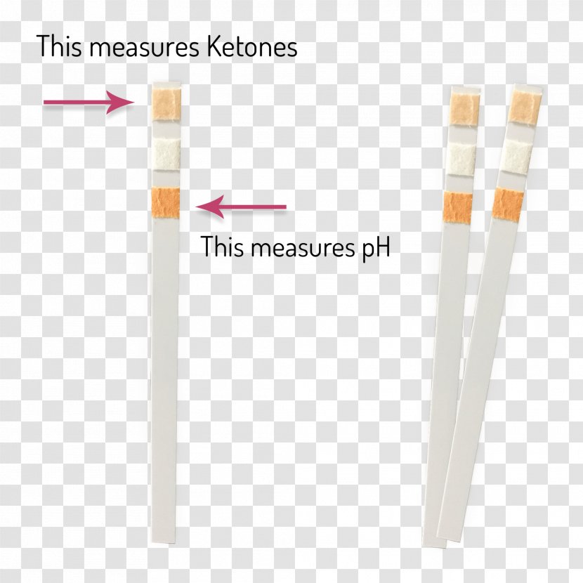 Urine Test Strip Clinical Tests Ketosis PH - Menopause Transparent PNG