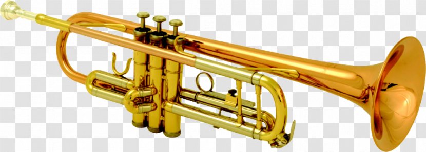 Trumpet Flugelhorn French Horns Brass Instruments Musical - Flower Transparent PNG