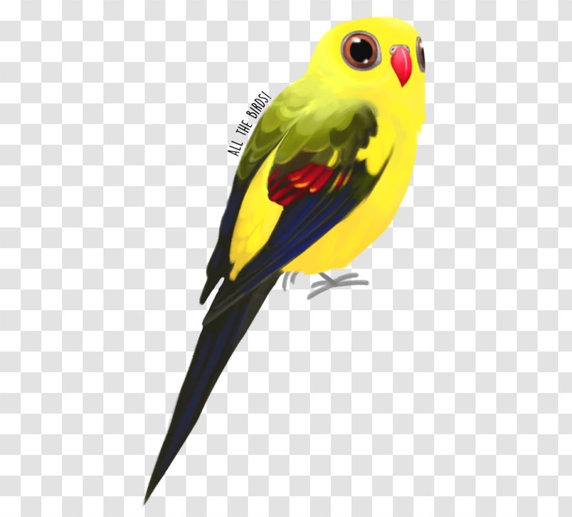 Budgerigar Regent Parrot Bird Princess Transparent PNG
