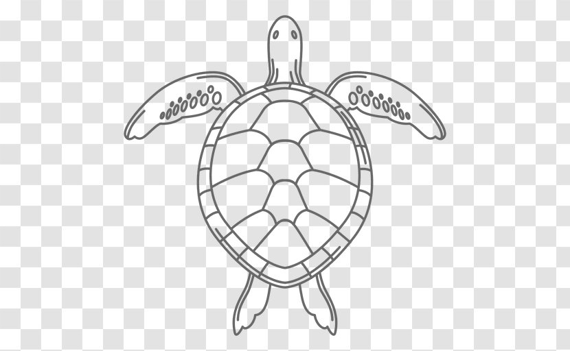 Green Sea Turtle Reptile Drawing - Line Art - Tortoide Transparent PNG