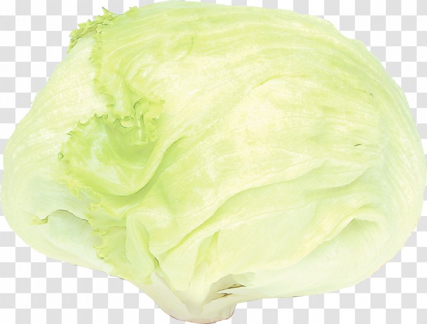 Green Leaf Background - Cabbage - Plant Vegetable Transparent PNG